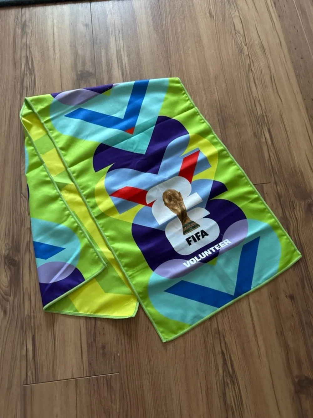 Fifa official volunteer